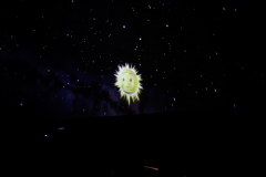 PXL_20220603_110826627