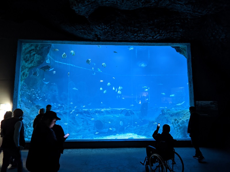 PXL_20220916_095734239