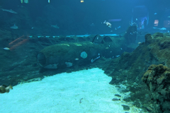 PXL_20220916_095746768