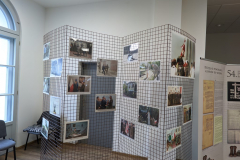 PXL_20230221_093614005-Sredni