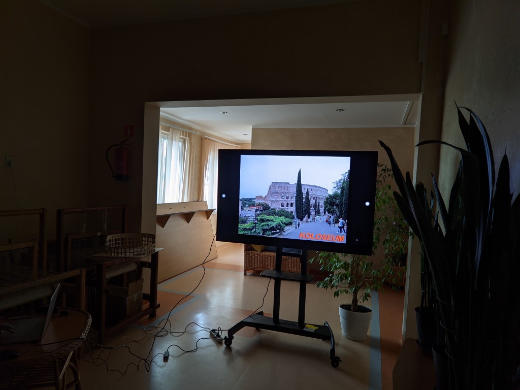 PXL_20240229_103428845